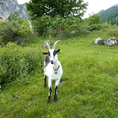 Landpension Im Alten Knoglerhof * Schleching